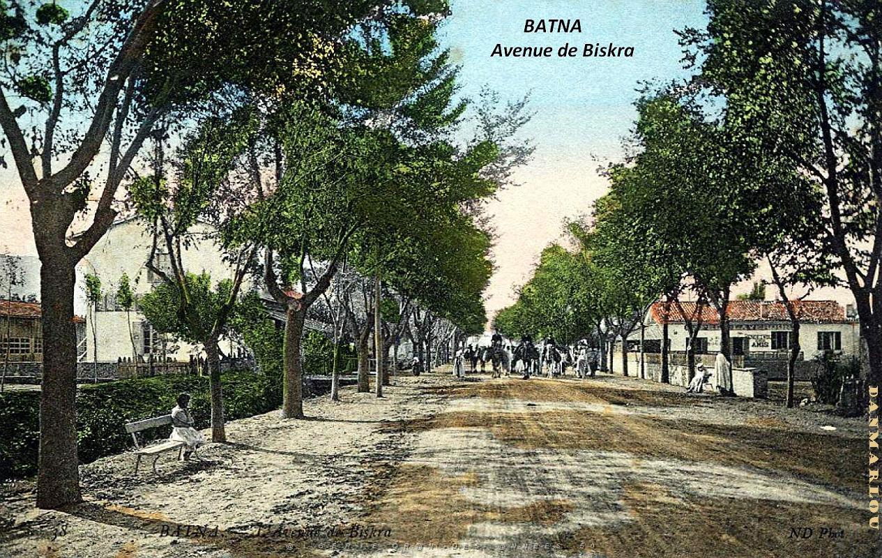 Batna - Avenue de Biskra.jpg